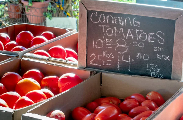 Pudełka Pomidorów Puszkach Sprzedawane Farmie Świeżego Rynku Idealny Specjalnego Przepisu — Zdjęcie stockowe