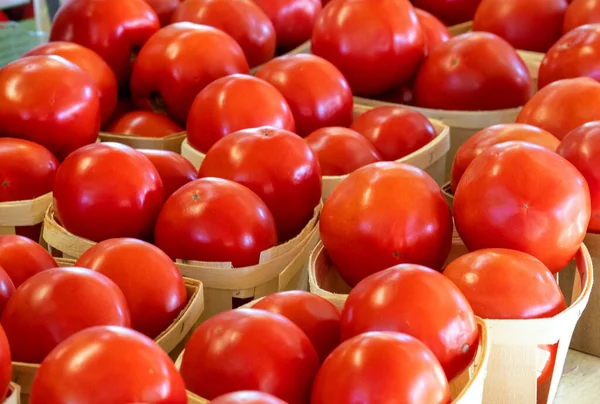 Kufel Świeżych Dojrzałych Pomidorów Jest Sprzedaż Stoisku Michigan Usa — Zdjęcie stockowe