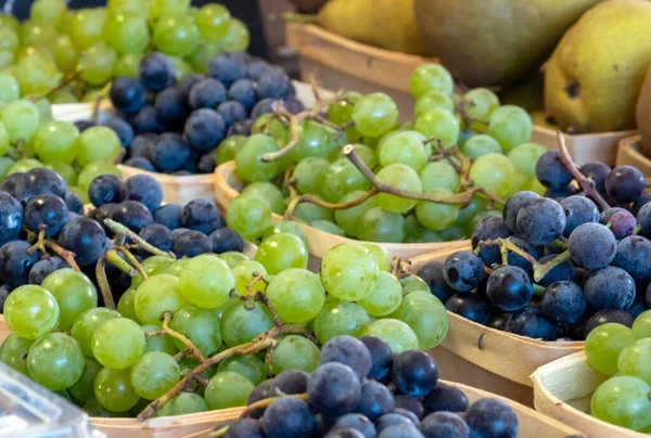 Стенд Фермы Мичигана Предлагает Пинты Свежего Винограда Фиолетовом Зеленом — стоковое фото