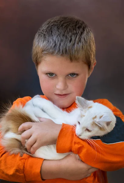 Tatlı Genç Çocuk Büyük Beyaz Bir Kedi Tutuyor Sevdiği Evcil — Stok fotoğraf