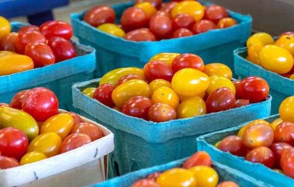 Pintos Belos Coloridos Saudáveis Tomates Cereja São Vendidos Mercado Agrícola Imagem De Stock