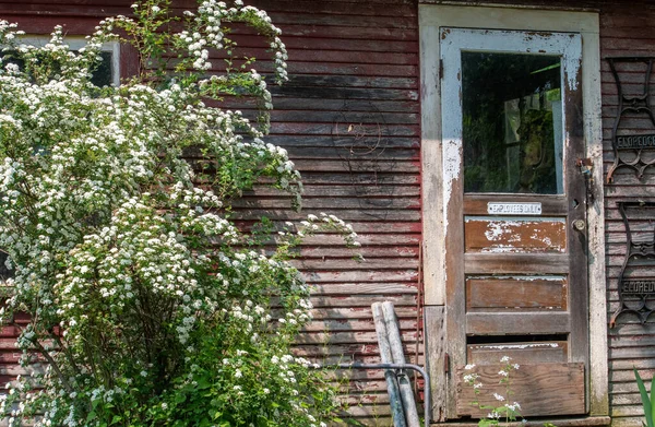 Rustic Building Has Employee Only Sign Door Large Flowering Bush — Stock Photo, Image