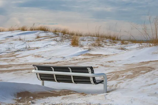 一月的一天 寒冷的天气里 密执安州湖畔的海滩上坐着一条冰冻的公园长椅 图库照片