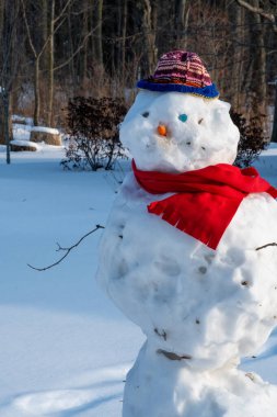 Michigan 'da kışın kardan adam yapılan bir yerin kapanışı.