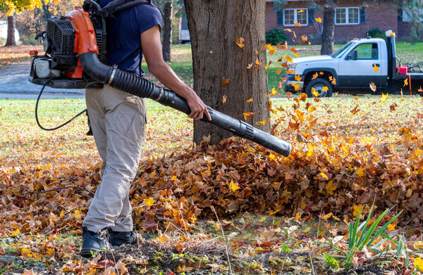 A worker with a large leaf blower gathers leafs into large piles for easy removal