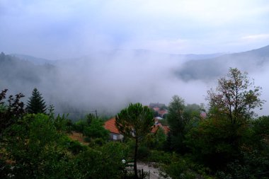 Lefka veya Paloukova köyünde sisli bir sabah, 11 Ağustos 2022 'de Yunanistan' da köknar ağaçlarından oluşan bir orman arasında, güzel bir doğal ortamda inşa edilmiş bir köydür.