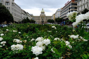 Çek Cumhuriyeti 'nin Prag kentinin ana meydanlarından biri olan Wenceslas Meydanı, 27 Temmuz 2022.