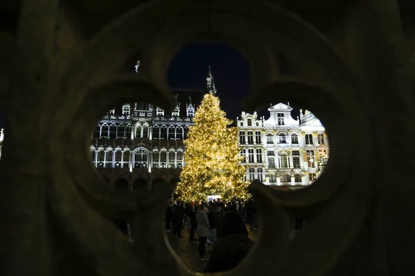 Spectacle Lumières Sur Grand Place Énorme Sapin Noël Avec Une — Photo