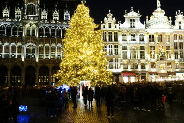 Lights Show Grand Place Uma Enorme Árvore Natal Com Uma — Fotografia de Stock