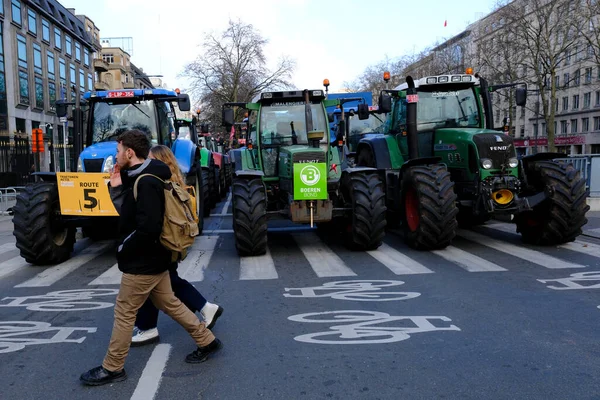 Viljelijät Traktoreineen Belgian Pohjoiselta Flanderin Alueelta Osallistuvat Brysselissä Maaliskuuta 2023 — kuvapankkivalokuva
