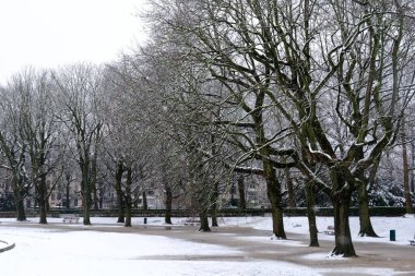 8 Mart 2023 'te Brüksel, Belçika' da kar yağışı