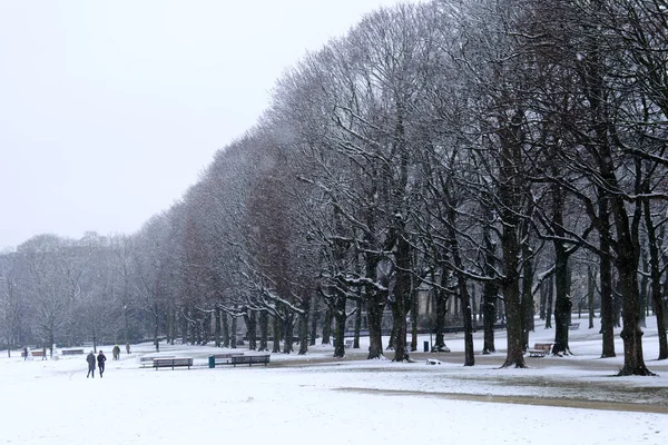 Sníh Městě Brusel Belgie Března 2023 — Stock fotografie