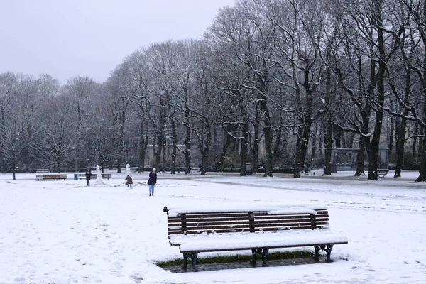 2023年3月8日比利时布鲁塞尔市一场大雪中的公园景观 — 图库照片