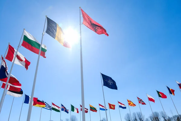 Las Banderas Nacionales Los Países Miembros Otan Ondean Fuera Sede —  Fotos de Stock