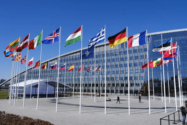 Nato Tagországok Nemzeti Zászlói 2023 Április Belgiumi Brüsszeli Székhelyen Kívül — Stock Fotó