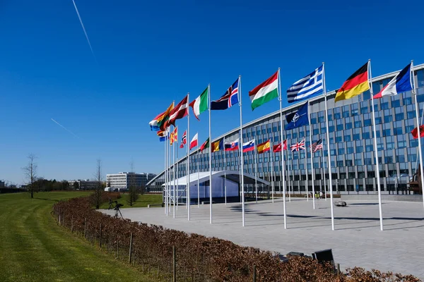 Nato Tagországok Nemzeti Zászlói 2023 Április Belgiumi Brüsszeli Székhelyen Kívül — Stock Fotó