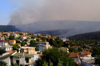 Yunanistan 'ın Atina kentindeki Villia köyünde 17 Ağustos 2021' de bir orman yangını gibi duman yükseliyor.