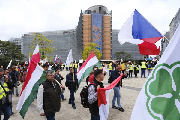 23 Mayıs 2023 'te Brüksel, Belçika' da AB 'nin tarım politikasına karşı AB Komisyonu ofisleri önünde protesto eylemleri yapan Avrupalı çiftlik hayvanları ve çiftçiler.