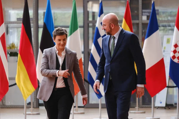 Президент Європейської Ради Чарльз Мішель Отримав Прем Міністра Сербії Анну — стокове фото