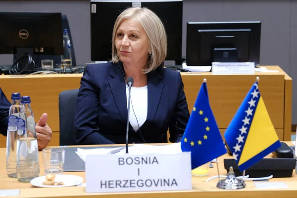 Borjana Kristo Presidenta Del Consejo Ministros Bosnia Herzegovina Asiste Consejo — Foto de Stock