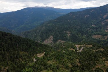 Lefka ya da Paloukova köyündeki bir yolun havadan görünüşü, 12 Ağustos 2023 'te Yunanistan' da bir köknar ağacı ormanı arasında, güzel bir doğal ortamda inşa edilmiş bir köydür..