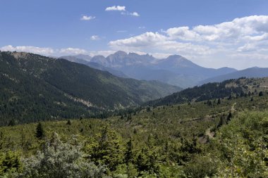 16 Ağustos 2023 'te Yunanistan' da taze yeşil çayırlar bulunan Vardousia Dağı 'ndaki Idyllic manzarası.