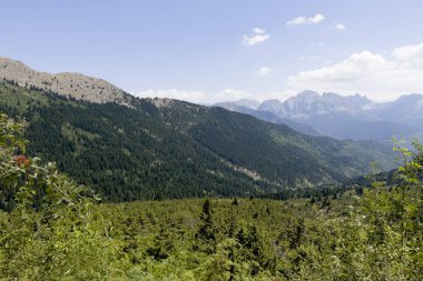 16 Ağustos 2023 'te Yunanistan' da taze yeşil çayırlar bulunan Vardousia Dağı 'ndaki Idyllic manzarası.