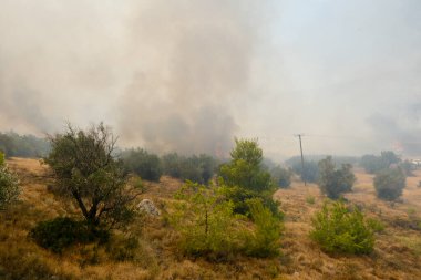22 Ağustos 2023 'te Atina' nın banliyösünde bir orman yangını çıktı..