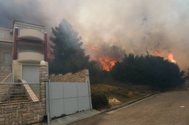 22 Ağustos 2023 'te Atina' nın banliyösünde yangın olarak yanan bir ev yayıldı.