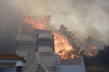 22 Ağustos 2023 'te Atina' nın banliyösünde yangın olarak yanan bir ev yayıldı.