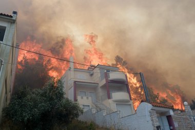 22 Ağustos 2023 'te Atina' nın banliyösünde yangın olarak yanan bir ev yayıldı.