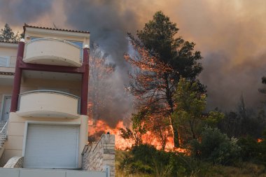 22 Ağustos 2023 'te Atina' nın banliyösünde yangın olarak yanan bir ev yayıldı.
