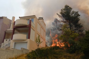 22 Ağustos 2023 'te Atina' nın banliyösünde yangın olarak yanan bir ev yayıldı.