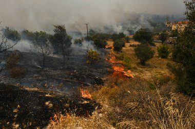 22 Ağustos 2023 'te Atina' nın banliyösünde bir orman yangını çıktı..