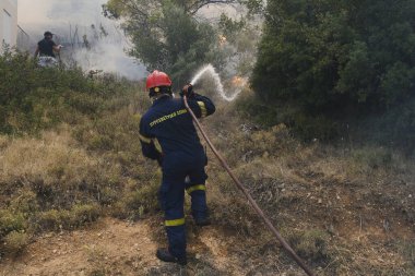 İtfaiyeciler ve gönüllüler, 22 Ağustos 2023 'te Atina' nın banliyösünde çıkan yangını söndürmek için su hortumlarını kullandılar..