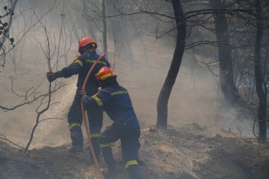 İtfaiyeciler ve gönüllüler, 22 Ağustos 2023 'te Atina' nın banliyösünde çıkan yangını söndürmek için su hortumlarını kullandılar..