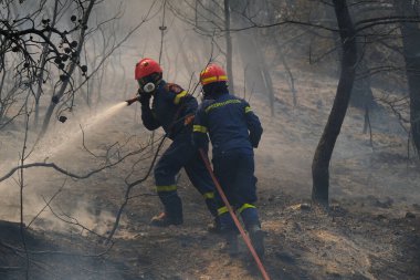 İtfaiyeciler ve gönüllüler, 22 Ağustos 2023 'te Atina' nın banliyösünde çıkan yangını söndürmek için su hortumlarını kullandılar..