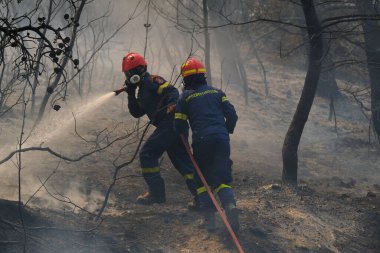 Firefighters and volunteers use water hoses to extinguish a wildfire  in suburb of Athens, Greece August 22, 2023. clipart