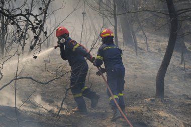 İtfaiyeciler ve gönüllüler, 22 Ağustos 2023 'te Atina' nın banliyösünde çıkan yangını söndürmek için su hortumlarını kullandılar..