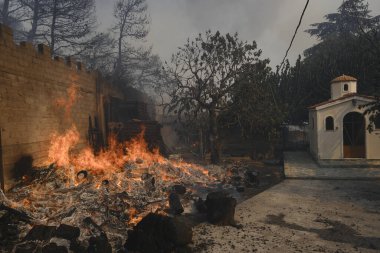 22 Ağustos 2023 'te Atina' nın banliyösünde bir orman yangını çıktı..