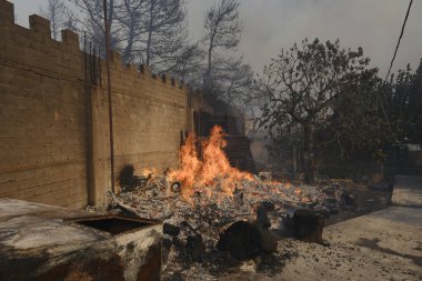22 Ağustos 2023 'te Atina' nın banliyösünde bir orman yangını çıktı..