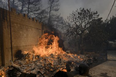 22 Ağustos 2023 'te Atina' nın banliyösünde bir orman yangını çıktı..