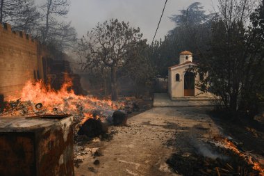 22 Ağustos 2023 'te Atina' nın banliyösünde bir orman yangını çıktı..