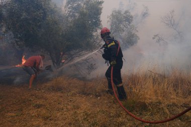 İtfaiyeciler ve gönüllüler, 22 Ağustos 2023 'te Atina' nın banliyösünde çıkan yangını söndürmek için su hortumlarını kullandılar..