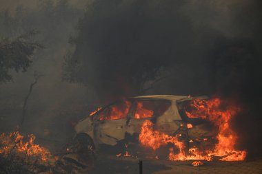 22 Ağustos 2023 'te Atina' nın banliyösünde çıkan yangında yanmış bir arabanın görüntüsü.