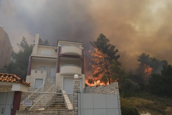 22 Ağustos 2023 'te Atina' nın banliyösünde yangın olarak yanan bir ev yayıldı.