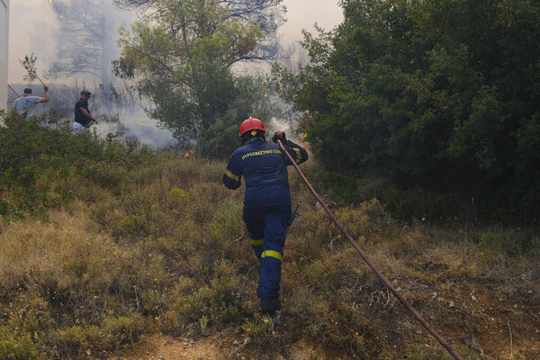 Пожарные и добровольцы используют водяные шланги для тушения лесного пожара в пригороде Афин, Греция 22 августа 2023 года.
