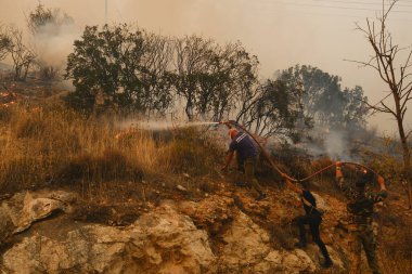 İtfaiyeciler ve gönüllüler, 22 Ağustos 2023 'te Atina' nın banliyösünde çıkan yangını söndürmek için su hortumlarını kullandılar..