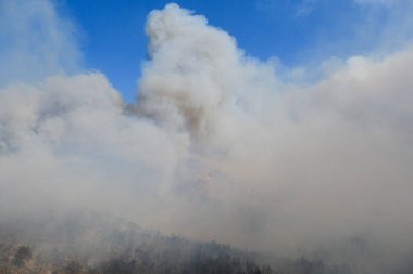 22 Ağustos 2023 'te Atina, Yunanistan' ın kenar mahallelerindeki bir orman yangınında duman yükseldi.