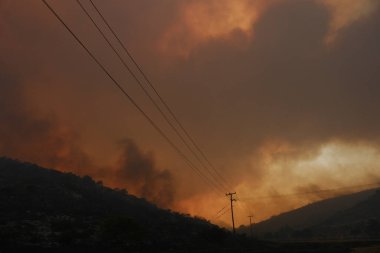 22 Ağustos 2023 'te Atina, Yunanistan' ın kenar mahallelerindeki bir orman yangınında duman yükseldi.